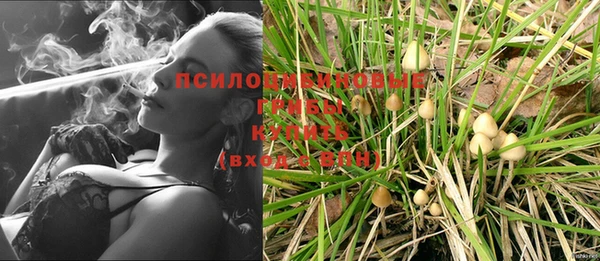 соль ск Кодинск