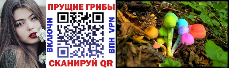 Купить  Нурлат  Галлюциногенные грибы Magic Shrooms 